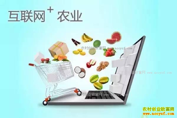 2016��ˮ���۸�������� 2017��ˮ���۸��������