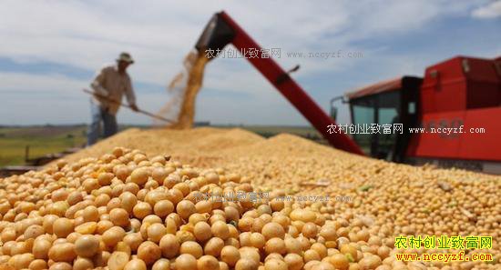 2017����Ҫũ��Ʒ�۸���������Ԥ��