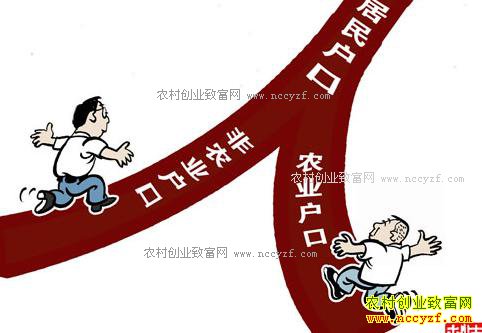 ����30ʡ��ȡ��ũҵ����ר�ң�ũת�ǲ�һ��Ҫ��������