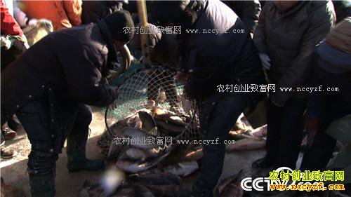 һ������160��ĲƸ�����(20170103)