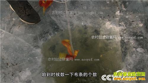 һ������160��ĲƸ�����(20170103)