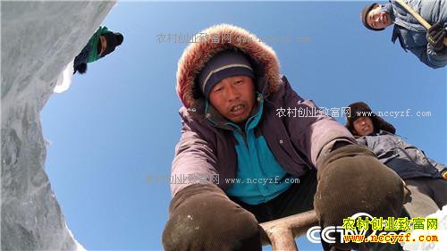 һ������160��ĲƸ�����(20170103)