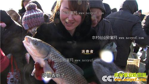 һ������160��ĲƸ�����(20170103)