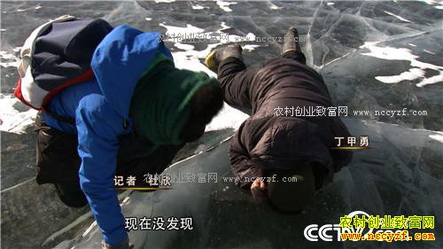 һ������160��ĲƸ�����(20170103)