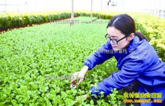 �㽭�����ش�ѧ������˼��ֲ�ջ�����ũ���¸�