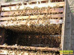 �㽭�����ش�ѧ��Ҷ���������������۴�ҵ�¸�