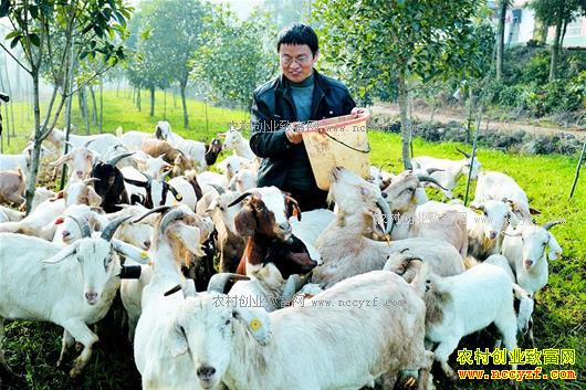 �����˶�����Ԫ��̬�����괴��30����