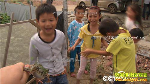 ˫��̥���ܼ��ӡ������˷���ս(20170104)