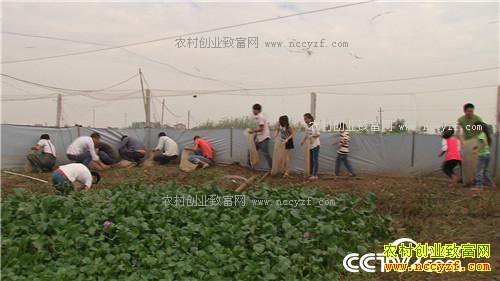 ˫��̥���ܼ��ӡ������˷���ս(20170104)