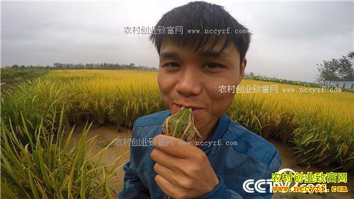 [�¸���]��������˫��̥�̳ɡ��̿�������ʵ�ֲƸ�����