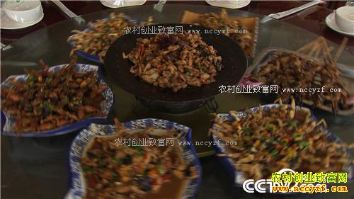 ˫��̥���ܼ��ӡ������˷���ս(20170104)