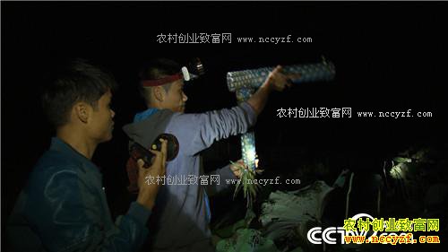 ˫��̥���ܼ��ӡ������˷���ս(20170104)