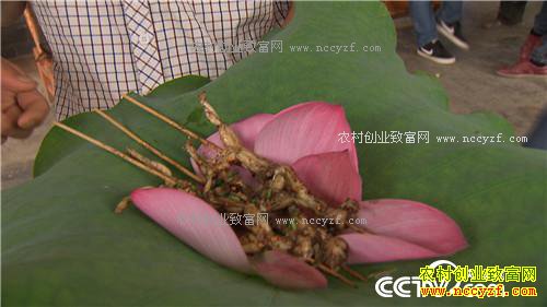 ˫��̥���ܼ��ӡ������˷���ս(20170104)