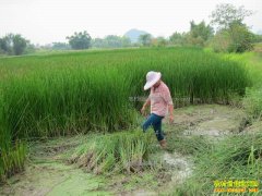 ��������ݩ����ֲ���ֵͻ��3��Ԫ