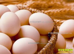 2017�괺��ǰ�󼦵��۸�Ԥ�⣺�����۸������е���