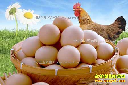 2017��Ԫ������ϼ����۸�����µ�