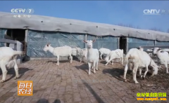 [ÿ��ũ��]2017����������������ĸ���׬Ǯ