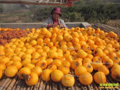 [�����е�]������ƽ�������Ӽӹ����������