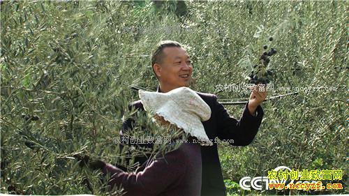 �¸������ѳԹ��� ������ǧ�� 1��5��