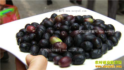 �ѳԹ��� ������ǧ��(20170105)