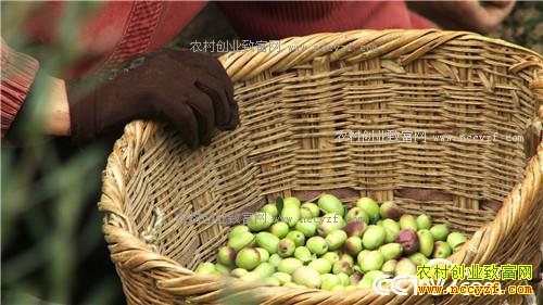 �ѳԹ��� ������ǧ��(20170105)