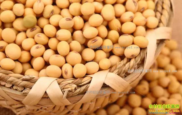 2017�󶹼۸�Ԥ�⼰ǰ������ 2017�겻�����׸��ִ�׬Ǯ�� 