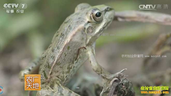 [ũ�����]�ֵ��� ����·��������Т�������ܵĲƸ�����