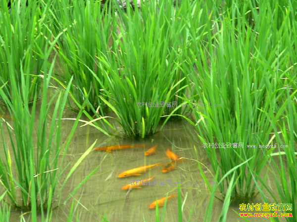 [ũ�����]���㹲��Ч��� 20170104