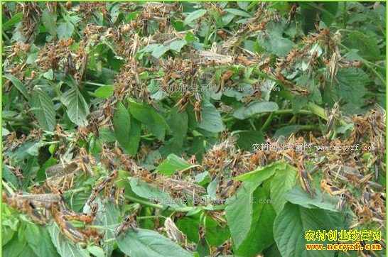 ɽ������ظ����ٴ���������1.5Ķ����8���Ԫ