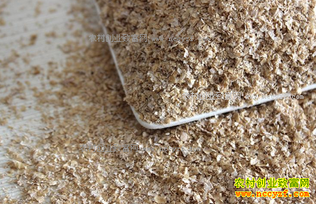 2017����Ƥ�۸�Ԥ�⣺��Ƥ�ۻ������� �����Ѹ�