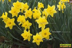 ˮ�ɻ���ˮ��������һĶ��������ǧԪ