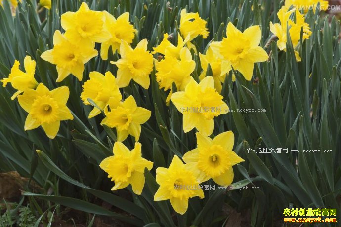 ˮ�ɻ���ˮ��������һĶ��������ǧԪ