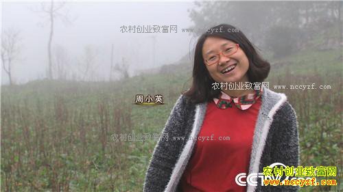 [�¸���]������¡��СӢ��ֳ��������200��