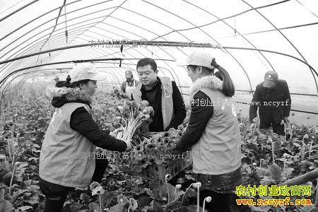 �㽭���ݽ�����������ֲ���޾�������Ԫ