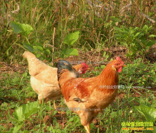 ����ͨɽ��ƺ����ֳ��������̬������ı��·