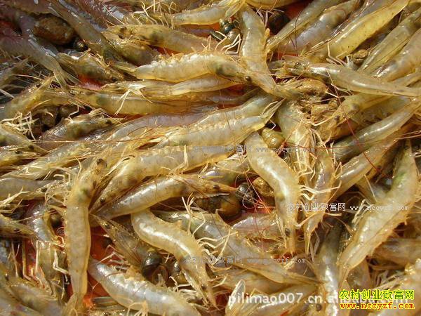 [�Ƽ�Է]ԧ��ˮ������Ϻ20170104