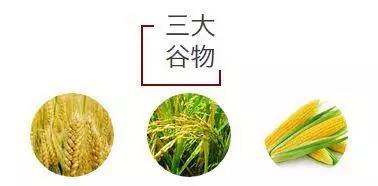 2017�����״��޻���֬����Ҫũ����۸�Ԥ��