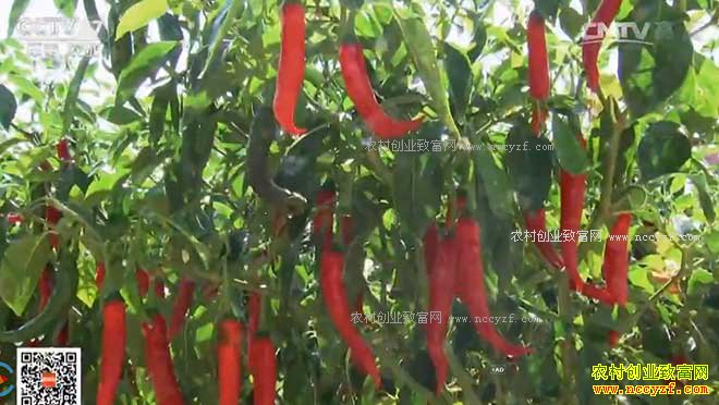 [�Ƽ�Է]����ˮ�������� 20170104