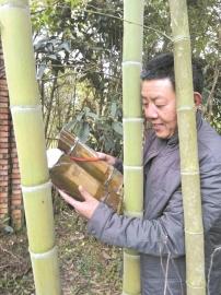 �Ĵ���Զ��������� ���֡���������Ͳ��