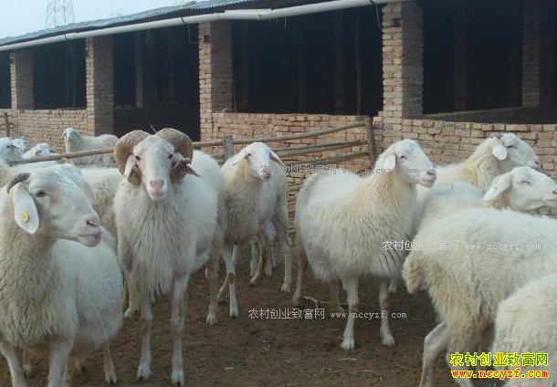 ��Щ���ݲ��ܻ���������ĸ���ܻ���