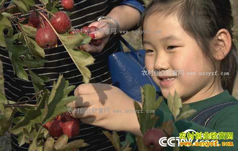 [��ɫʱ��]�ӱ��е£�����ɽ���ե���ĲƸ�