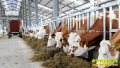 2017�����ʡ����ҵ��Ŀ��������