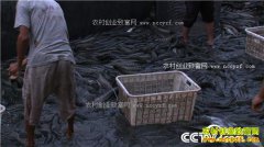 [�¸���]���ն����ܸ��ֺ���������������500��Ԫ