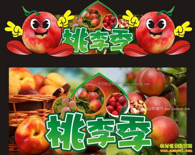 �㽭��ֶ��ܿ�ͨ���Ӱ�װˮ������������