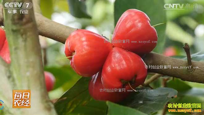 [ÿ��ũ��]����Ѫ������������ 20170110