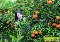 �㽭���ݺ������ٺ�����һ��������2Ԫ