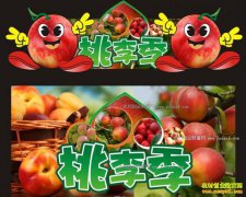 �㽭��ֶ��ܿ�ͨ���Ӱ�װˮ������������