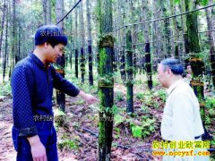 �㽭������ʤ��������������Ƥʯ��Ч���