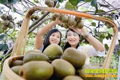 ������Ͽ���ŷ��ɽ���̳���⨺���