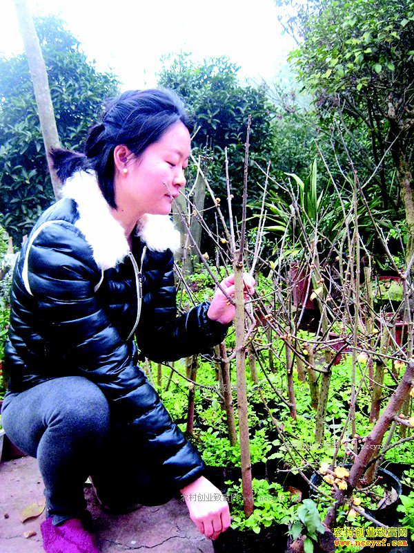 �Ĵ�����ũ��ŮԬ�������ռ�����ֲ������÷��׬Ǯ